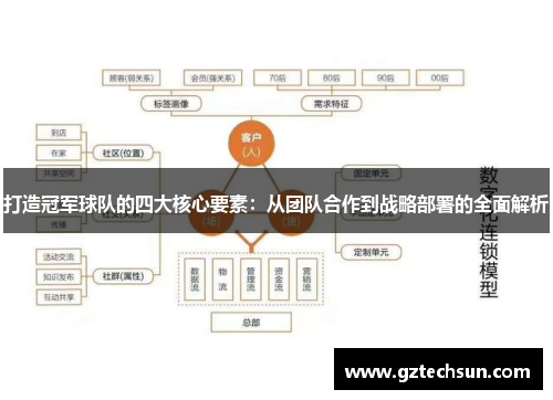 打造冠军球队的四大核心要素：从团队合作到战略部署的全面解析