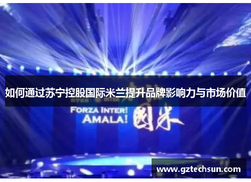 如何通过苏宁控股国际米兰提升品牌影响力与市场价值 如何通过苏宁控股国际米兰提升品牌影响力与市场价值