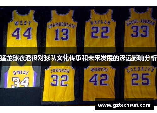 猛龙球衣退役对球队文化传承和未来发展的深远影响分析 猛龙球衣退役对球队文化传承和未来发展的深远影响分析
